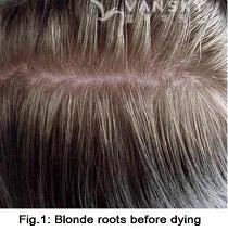 240822110552_Hair-Before Dying-s.jpg